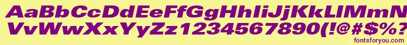 UniversltstdXblackexobl Font – Purple Fonts on Yellow Background