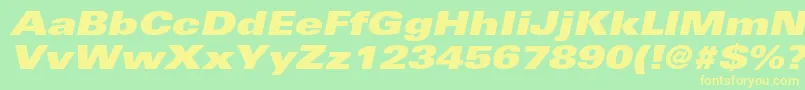 UniversltstdXblackexobl Font – Yellow Fonts on Green Background