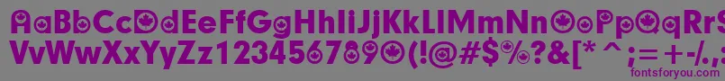 Шрифт CanadianParticipants – фиолетовые шрифты на сером фоне