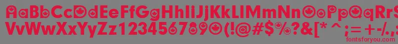 CanadianParticipants Font – Red Fonts on Gray Background