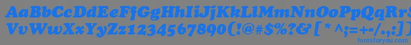 Agcoo13 Font – Blue Fonts on Gray Background