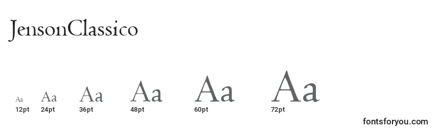 Размеры шрифта JensonClassico