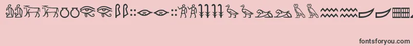MeroiticHieroglyphics Font – Black Fonts on Pink Background