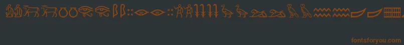 Czcionka MeroiticHieroglyphics – brązowe czcionki na czarnym tle