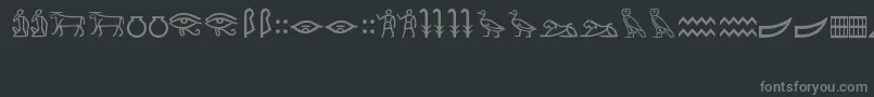 MeroiticHieroglyphics Font – Gray Fonts on Black Background