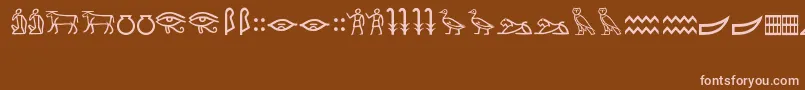 MeroiticHieroglyphics Font – Pink Fonts on Brown Background