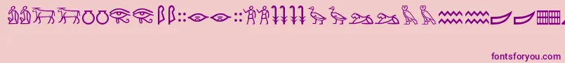 MeroiticHieroglyphics Font – Purple Fonts on Pink Background