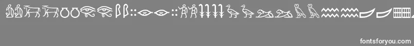 MeroiticHieroglyphics Font – White Fonts on Gray Background