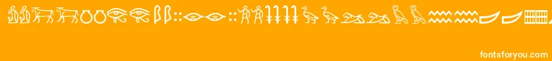 MeroiticHieroglyphics Font – White Fonts on Orange Background