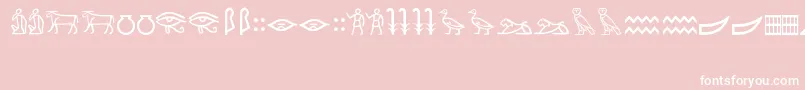 フォントMeroiticHieroglyphics – ピンクの背景に白い文字