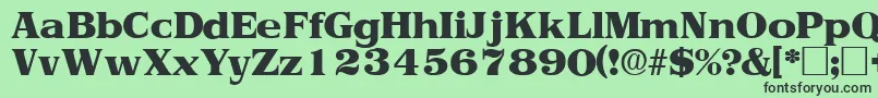 フォントToriidisplaysskRegular – 緑の背景に黒い文字