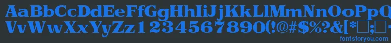 ToriidisplaysskRegular Font – Blue Fonts on Black Background