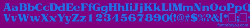 ToriidisplaysskRegular Font – Blue Fonts on Purple Background