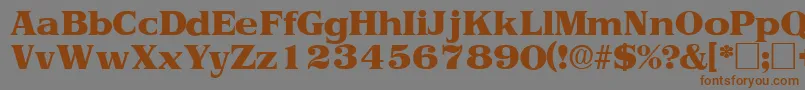 ToriidisplaysskRegular Font – Brown Fonts on Gray Background