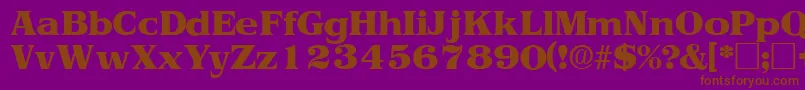 ToriidisplaysskRegular Font – Brown Fonts on Purple Background