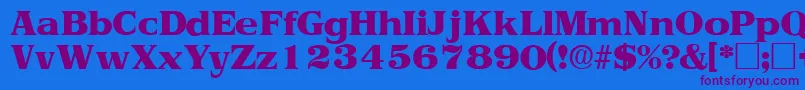 ToriidisplaysskRegular Font – Purple Fonts on Blue Background