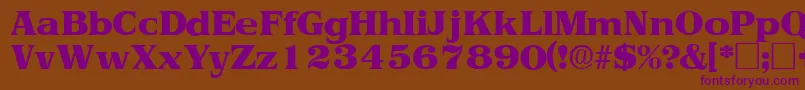 ToriidisplaysskRegular Font – Purple Fonts on Brown Background