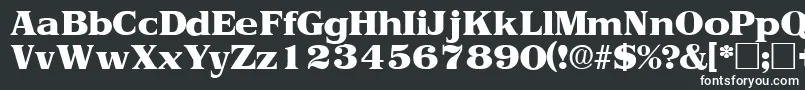 フォントToriidisplaysskRegular – 黒い背景に白い文字