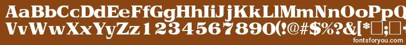 フォントToriidisplaysskRegular – 茶色の背景に白い文字