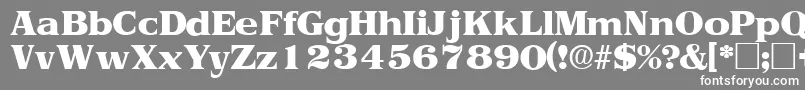 フォントToriidisplaysskRegular – 灰色の背景に白い文字