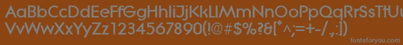 フォントLiteraBold – 茶色の背景に灰色の文字