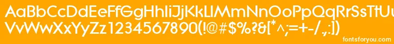 フォントLiteraBold – オレンジの背景に白い文字