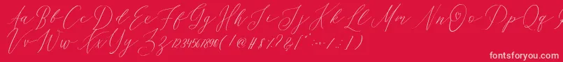 OhSamanthaDemo-Schriftart – Rosa Schriften auf rotem Hintergrund