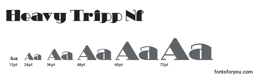 Heavy Tripp Nf Font Sizes