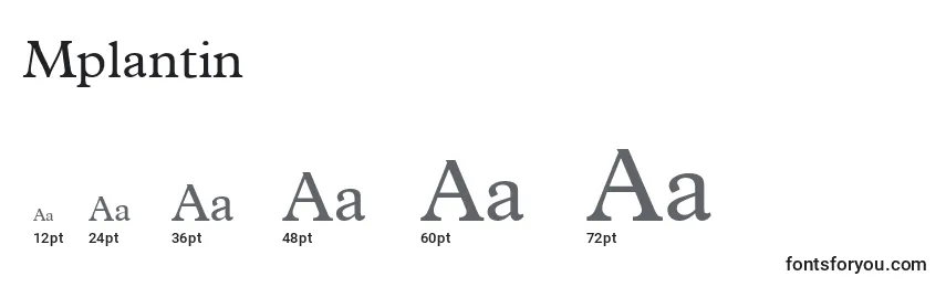 Размеры шрифта Mplantin