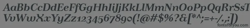 TusartextosfBolditalic Font – Black Fonts on Gray Background