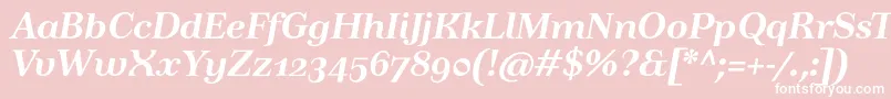TusartextosfBolditalic Font – White Fonts on Pink Background