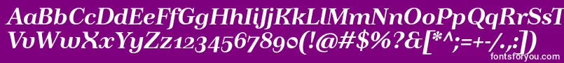 TusartextosfBolditalic Font – White Fonts on Purple Background