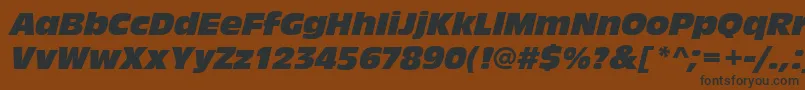 AntiqueolitcomItalic Font – Black Fonts on Brown Background