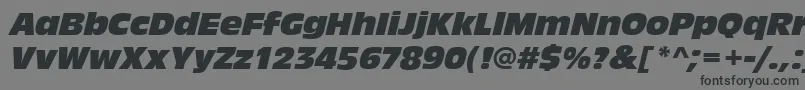 フォントAntiqueolitcomItalic – 黒い文字の灰色の背景