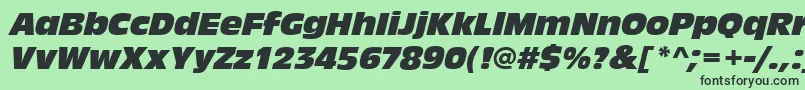 AntiqueolitcomItalic Font – Black Fonts on Green Background