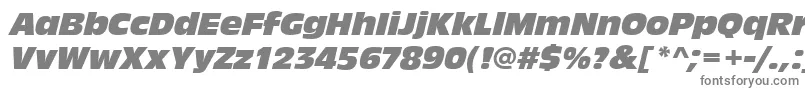 AntiqueolitcomItalic Font – Gray Fonts