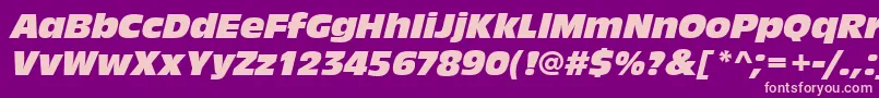 AntiqueolitcomItalic Font – Pink Fonts on Purple Background