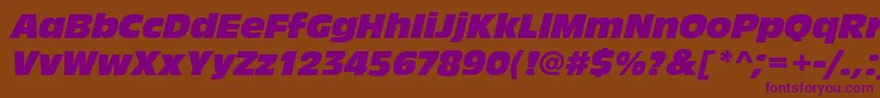 Czcionka AntiqueolitcomItalic – fioletowe czcionki na brązowym tle