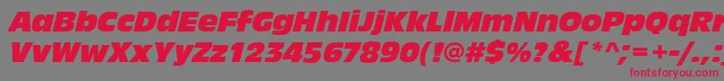 AntiqueolitcomItalic Font – Red Fonts on Gray Background