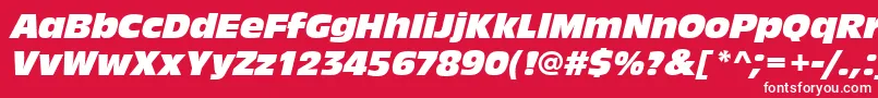 AntiqueolitcomItalic Font – White Fonts on Red Background