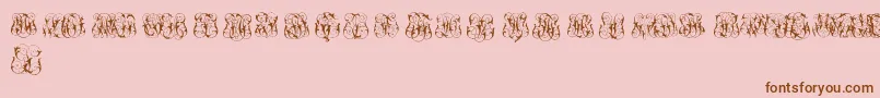 HardToReadMonogramsTwo Font – Brown Fonts on Pink Background