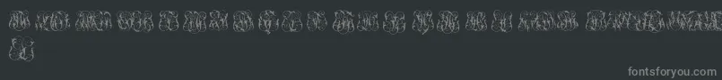 HardToReadMonogramsTwo Font – Gray Fonts on Black Background