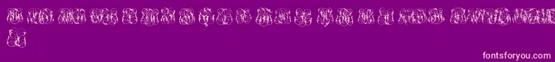 HardToReadMonogramsTwo-Schriftart – Rosa Schriften auf violettem Hintergrund