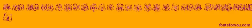 HardToReadMonogramsTwo Font – Purple Fonts on Orange Background