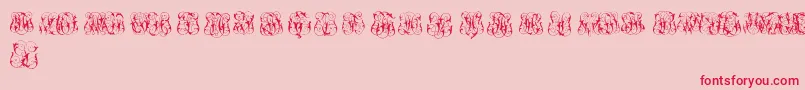 HardToReadMonogramsTwo Font – Red Fonts on Pink Background