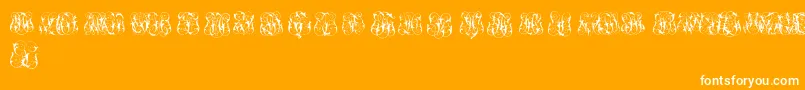 HardToReadMonogramsTwo Font – White Fonts on Orange Background
