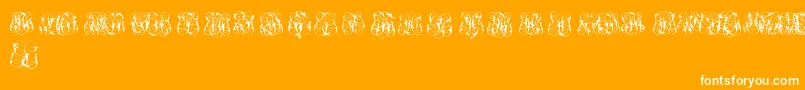 HardToReadMonogramsTwo-Schriftart – Weiße Schriften auf orangefarbenem Hintergrund