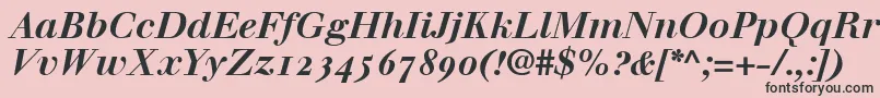 WalbaumBoldItalicOldstyleFigures Font – Black Fonts on Pink Background