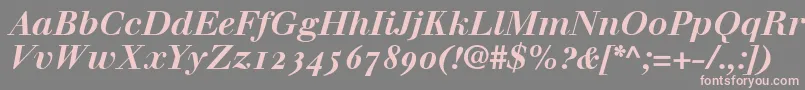 WalbaumBoldItalicOldstyleFigures Font – Pink Fonts on Gray Background