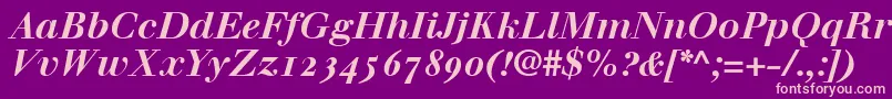 WalbaumBoldItalicOldstyleFigures Font – Pink Fonts on Purple Background